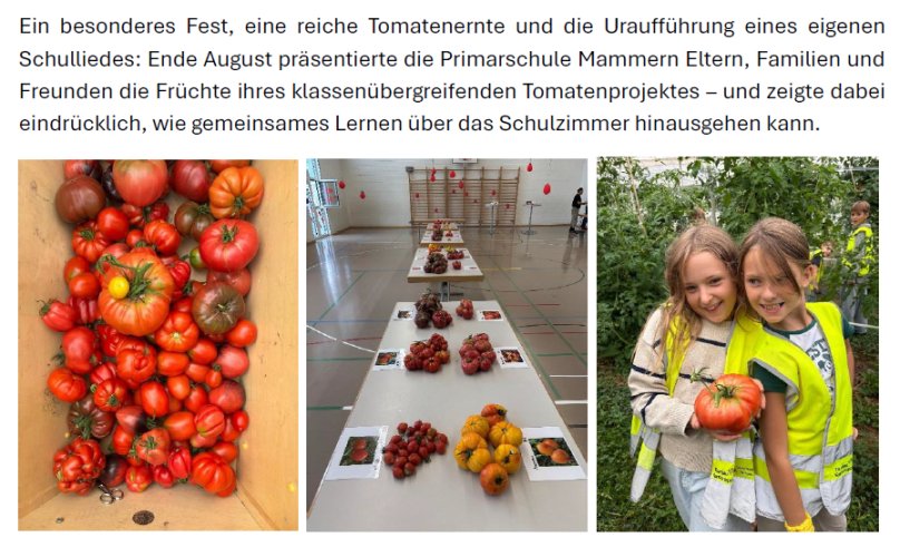 aktuelles Schuljahr